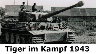 Tiger im Kampf / Gefechtsbericht Schwere Panzer Abteilung 503 / Kursk / Kurt Knispel