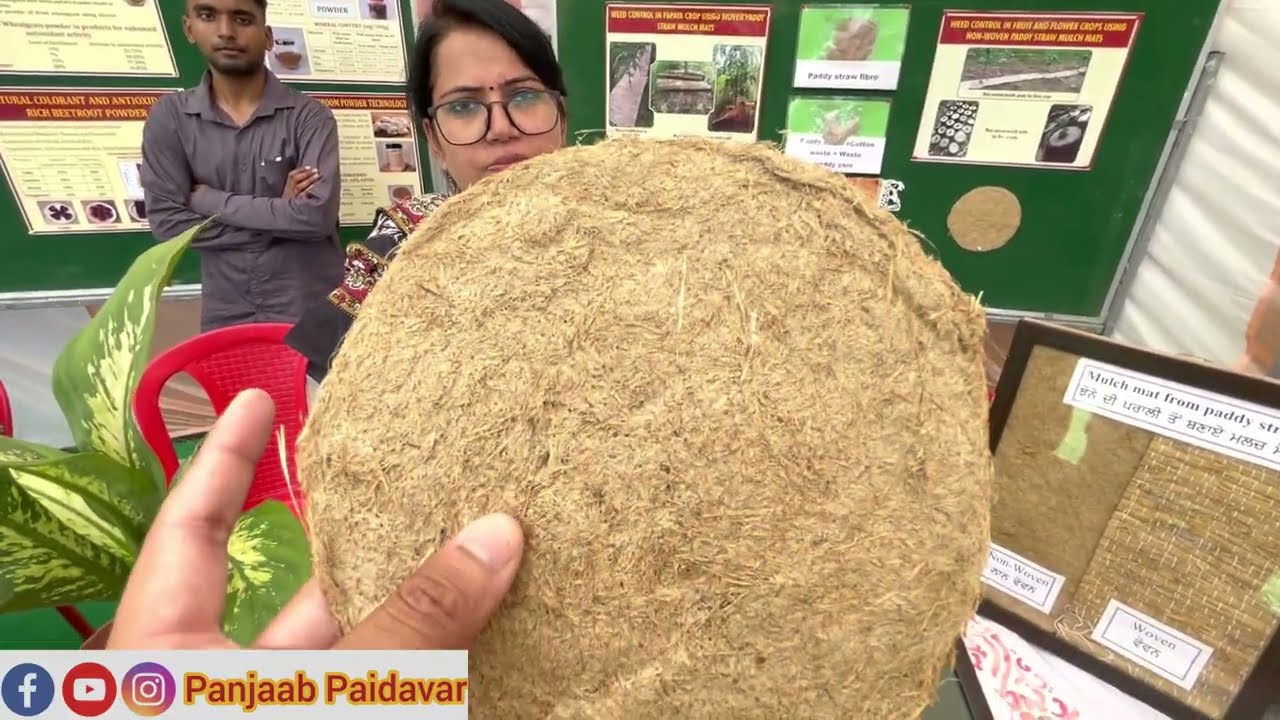 ਪਰਾਲੀ ਦਾ ਪੱਕਾ ਹੱਲ ਨਾਲੇ ਕਮਾਓ ਪੈਸੇ