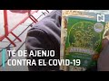 Té de Ajenjo contra el Covid-19 - En Punto