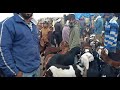 Rajasthan bakra Mandi tonk | goat market live updet cover with Price 25 December 2020 part (2)