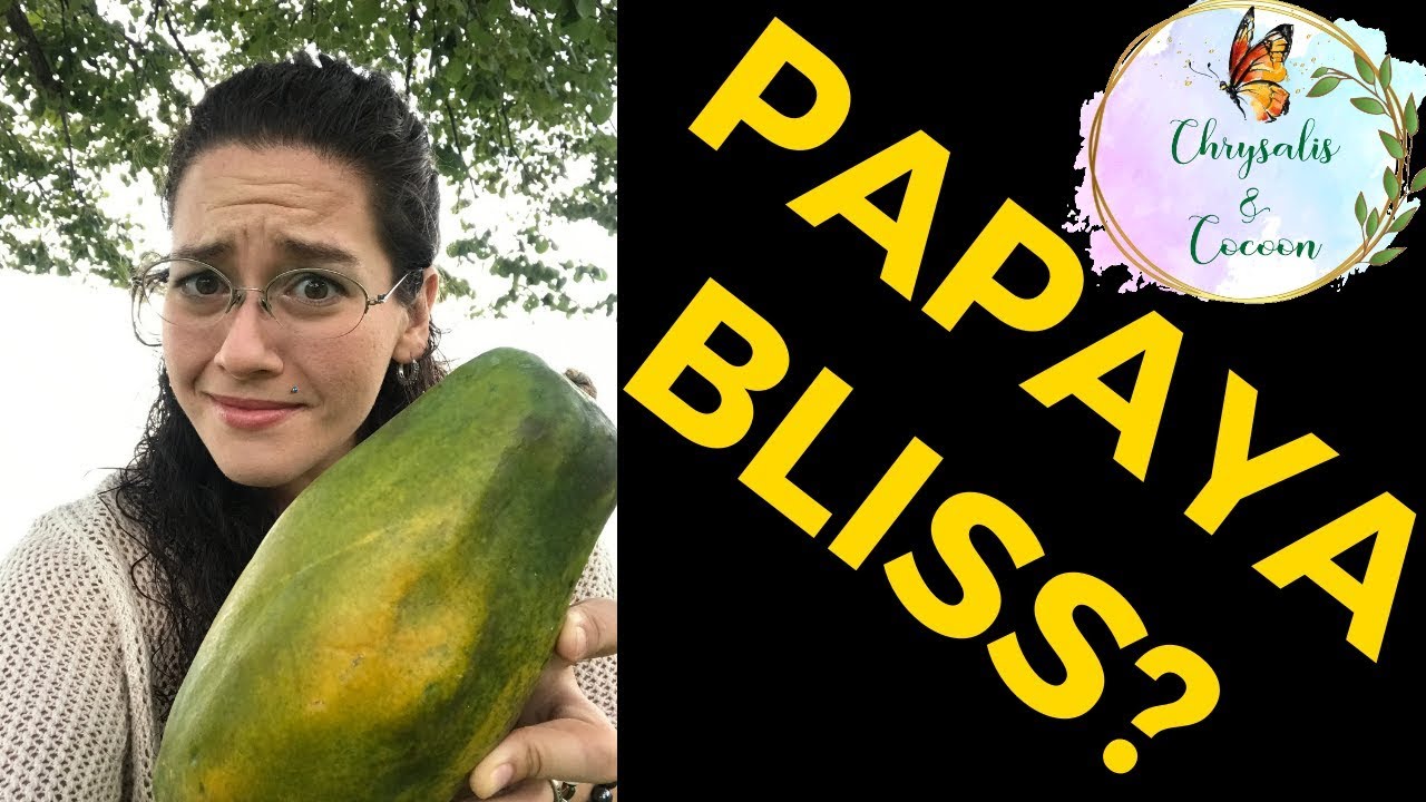 How to Pick a Good Papaya YouTube