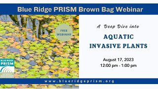 Brown Bag Session:  A Deep Dive into Aquatic Invasive Plants