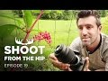 How to Take Close-up Photos on the Cheap, a Macro Tutorial for Beginners - Shoot from the Hip (#19)