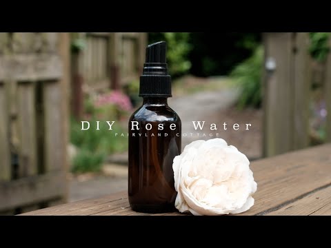 Video: Hjemmelaget Rose Water Toner: Gjør det selv