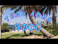 Набережная и пляжи Тель-Авива и древнейший город мира - Яффо.