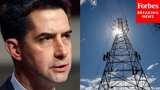 Tom Cotton Accuses 'Radical Environmentalist' Of Causing High Energy Costs By Delaying Projects