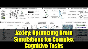 Jaxley: Optimizing Brain Simulations for Complex Cognitive Tasks