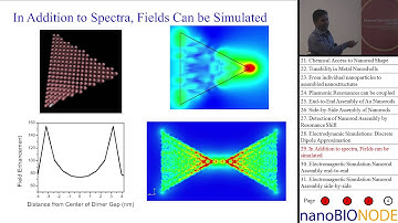 Fundamentals of Nano Optics and Plasmonics for the Biomedical Researcher (Prashant Jain)