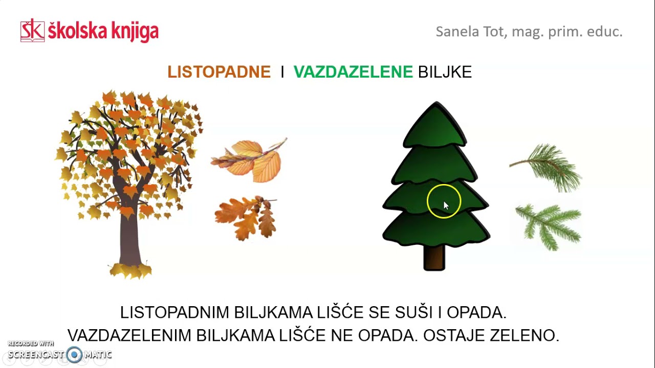 Jesen - vremenske prilike, biljke i životinje, 1. r.