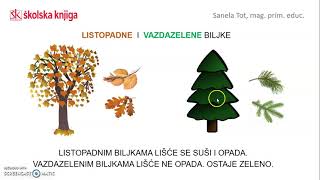 Jesen - vremenske prilike, biljke i životinje, 1. r. Jesen - vremenske prilike, biljke i životinje, 1. r.