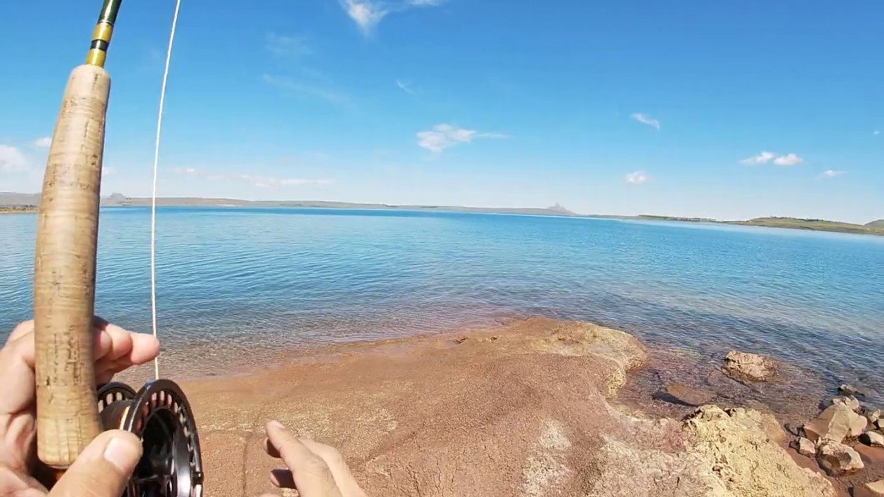 Sterkfontein Dam fly fishing a sterkies experience YouTube