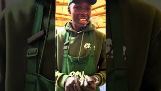 Rex's Ice Cream – Creamy, Dreamy & Delicious at Marula Green Market!