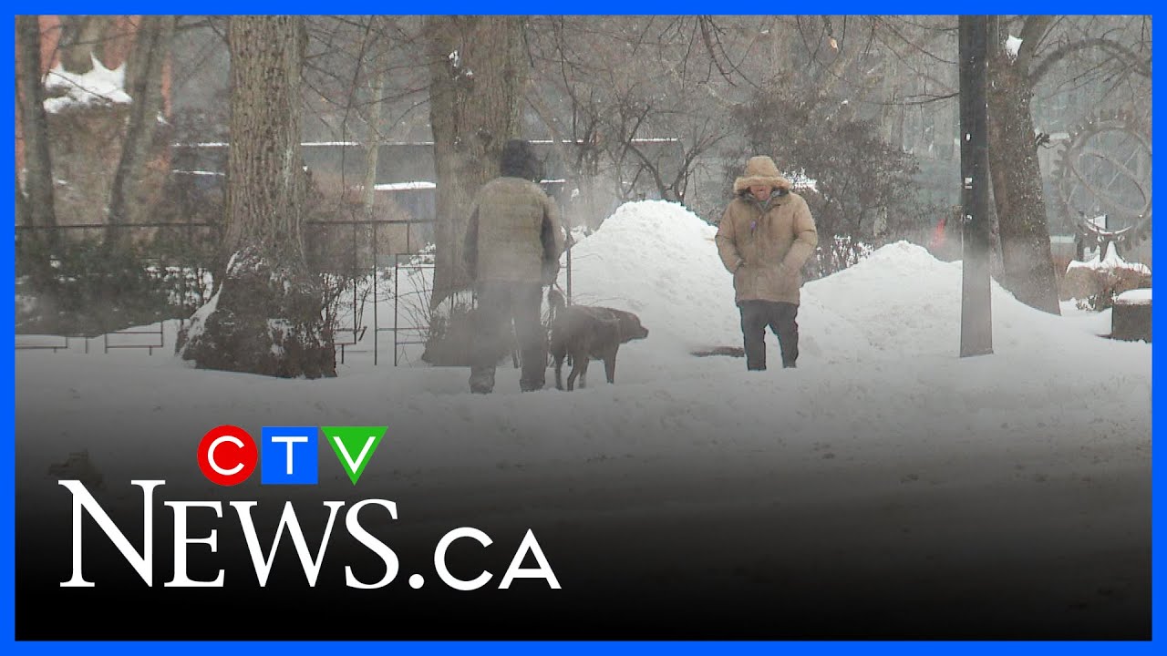 Cold, snowy day in the Maritimes - YouTube