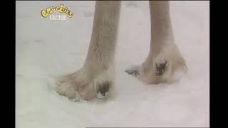 Door 9 Cbeebies Tots Tv Lapland Out 1993