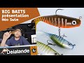 Prsentation no swim delalande  les avantages du big bait sans les inconvnients 