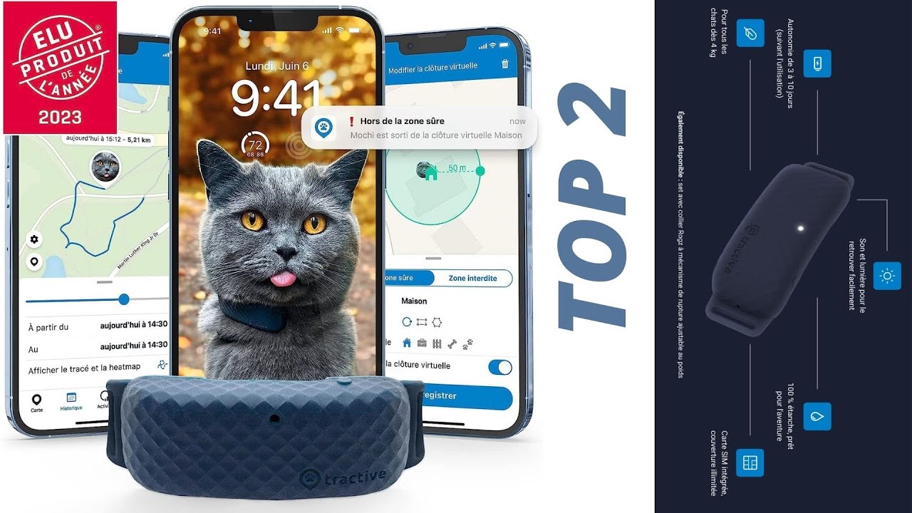 💥 Meilleurs colliers GPS pour chats 2024 - guide d'achat et