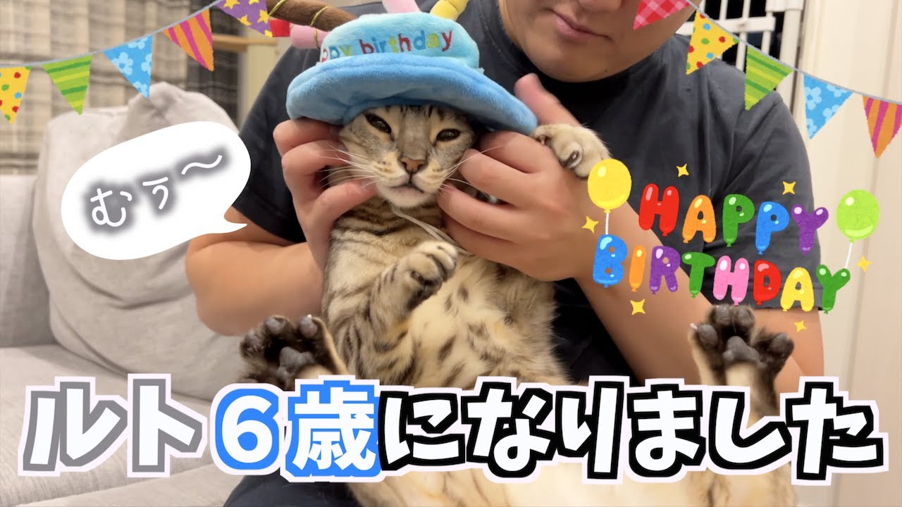 ルトの６歳の誕生日に肉ケーキ作ったらロゼが騒がしかった