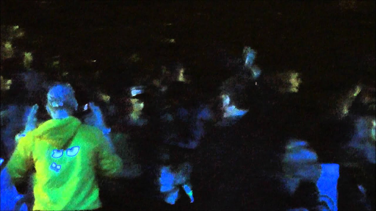 Dyna /Dfaze @ Openfields Festival /Reves  2011