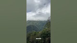 SUARA ANGIN DI ATAS PUNCAK GUNUNG BATAS ACEH BESAR #shortvideo #aceh