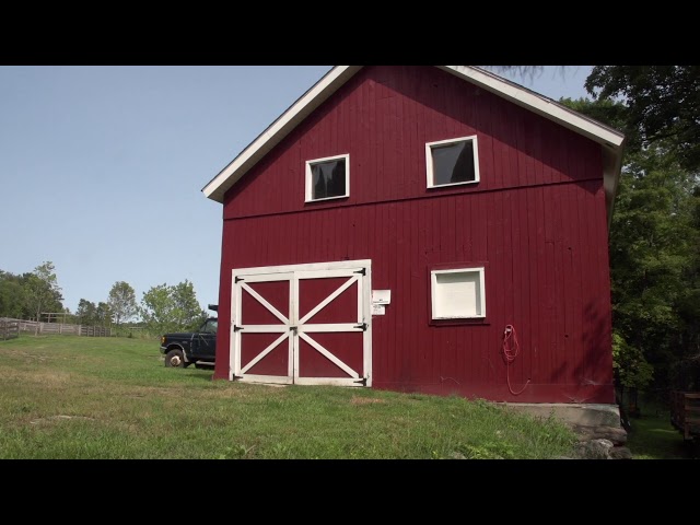 Sanctuary Yeti - Catherine Violet Hubbard Animal Sanctuary