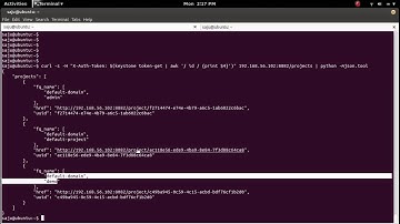 How to Access OpenContrail REST API using curl