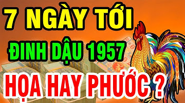 Hé Lộ Tiên Tri 7 Ngày Tới, Tuổi ĐINH DẬU 1957 Vượt Qua Đại Hạn, Đổi Đời Chóng Mặt | PQTV