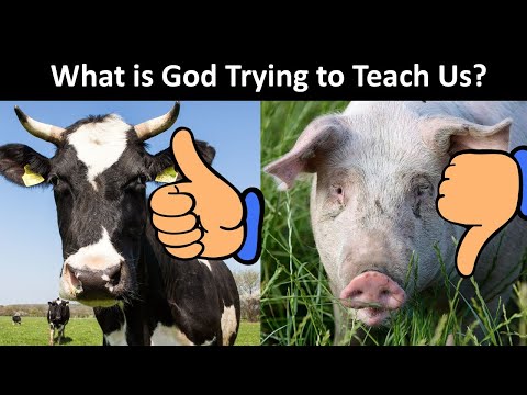 Video: Kuras reliģijas nevar ēst noteiktus ēdienus?