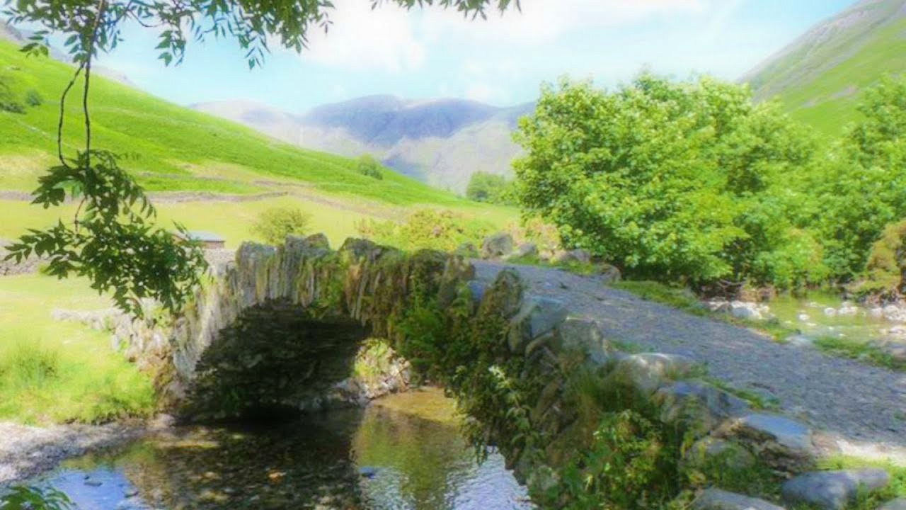 a comfort playlist for quiet moments☘️ (studying, reading & focus)