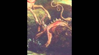 Kitchen - Busch (Post-Rock)