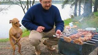 When Your Dog Acts Like A Tiny Human