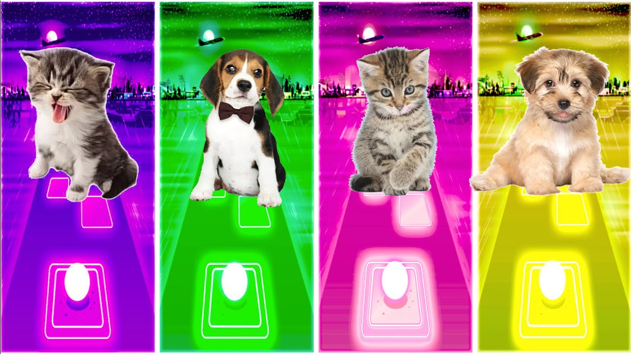 Cute Cat vs Cute Dog vs Cat Dance Monkey vs Dog Blackpink Tiles Hop