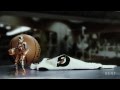 Gatorade (four ads from new campaign)