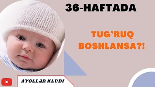 HOMILADORLIKNING 36- HAFTASI TUG’RUQ BOSHLANSA?!!!