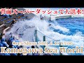 ラビーの背面スーパーダッシュで大洪水!! 鴨川シーワールド シャチパフォーマンス KamogawaSeaworld 2021.6.18 13:00シャチショー