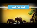 قصص كليلة ودمنة الحلقة الحادية عشر عين القمر قصص كليلة ودمنة الحلقة الحادية عشر عين القمر