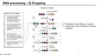 [Bioinformatics study online seminar] 5회차. transcript 분석 연구 적용 사례