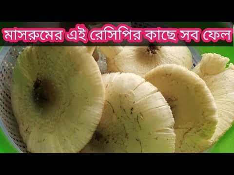 ভিডিও: মাশরুম এবং হ্যাম দিয়ে স্প্যাগেটি কীভাবে রান্না করবেন