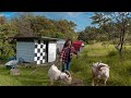 What’s Like to Live in a 2½ Acres Farm // Off-grid Living