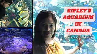 Ripley’s Aquarium of Canada