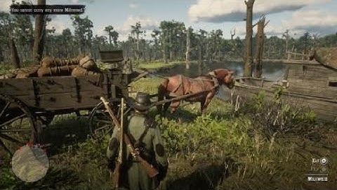 Red Dead Redemption 2 online. Trader bug.