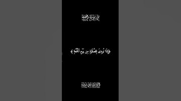 من سورة الجمعة | شاشة سوداء بصوت القارئ زين بدور