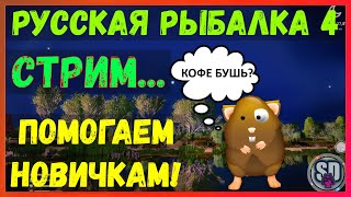 Русская Рыбалка 4 *🌧️НЕ ГРУСТНЫЙ  ВЕЧЕР!🌧️ + 😝ПОМОГАЕМ НОВИЧКАМ!😝*