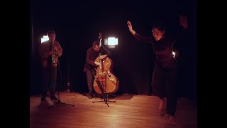 Tománek Beaudet Pinel - Le Vol Des Samares