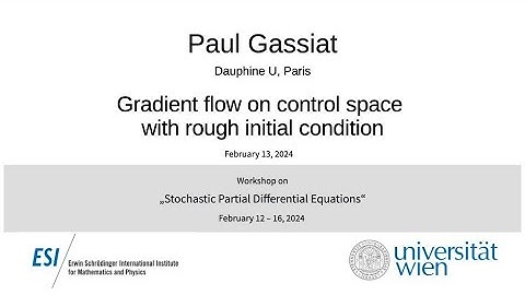 Paul Gassiat - Gradient flow on control space with rough initial condition