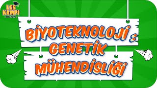 Biyoteknoloji Genetik Mühendisliği Lgs Fen 