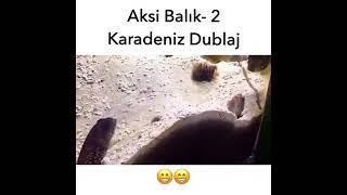 karadeniz dublaj balık 😂 #shrots #keşfet