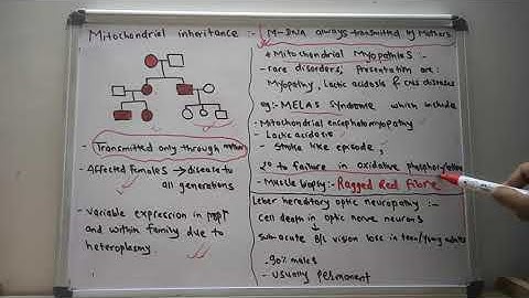 Mitochondrial inheritance | Modes of inheritance | USMLE step 1 | Lecture 5.4