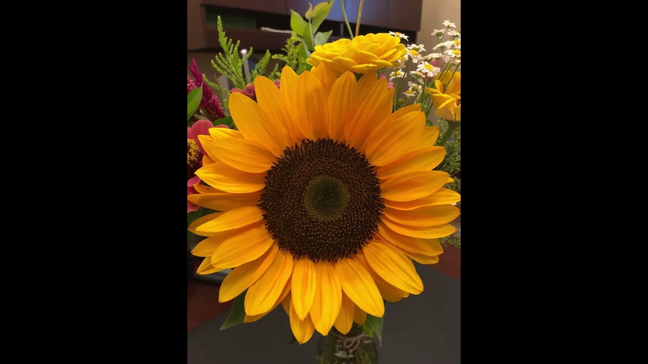 God’s Mighty Hand Composed by Sam Pflaum