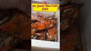 See Comments Section For Caption