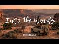 Into The Woods | Warm Acoustic Indie Folk Vibes